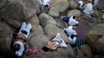 Jemaah Haji Mulai Wukuf di Arafah