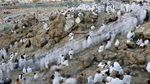 Jemaah Haji Mulai Wukuf di Arafah