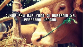 Tuh ingat pesen dari si sapi. (Foto: Internet)
