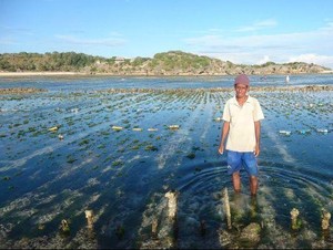 Ribuan Nelayan NTT Menggugat ke Pengadilan Australia
