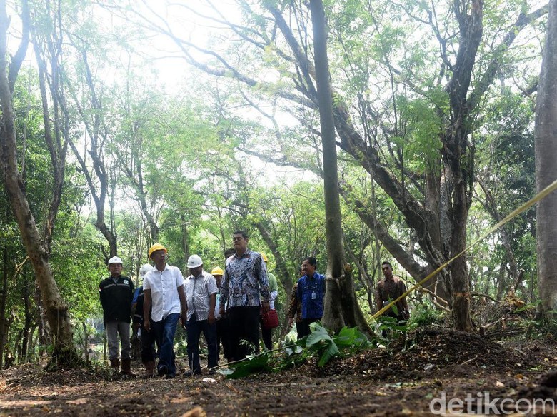 Perbanyak Rth Pemkot Kediri Akan Bangun Hutan Joyoboyo