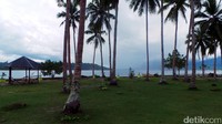 Di depan cottage, pemandangannya tak kalah asyik. Traveler yang berpergian bersama keluarga bisa membawa anak-anak berlarian di sini (Wahyu/detikTravel)