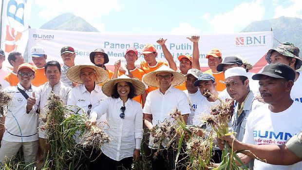 BNI kucurkan KUR ke petani bawang putih di Lombok Timur