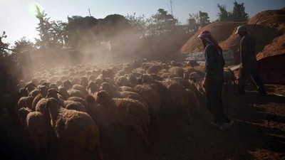 Begini Perayaan Idul Adha di Tengah Konflik Suriah