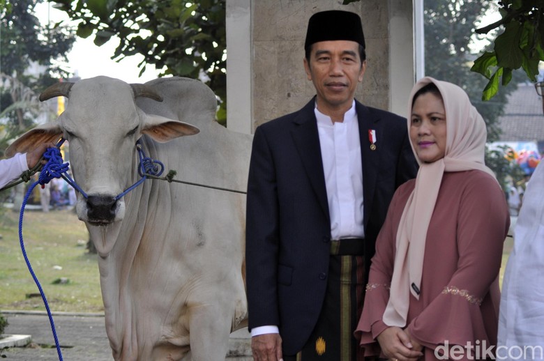 Jokowi Gelar Jambore Peternakan Perebutkan Piala Presiden Jokowi Gelar Jambore Peternakan Perebutkan Piala Presiden