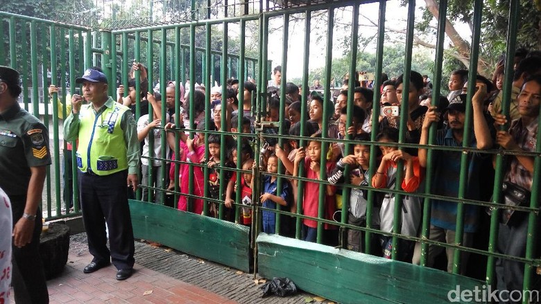 Ke Istiqlal, Warga Berharap Daging Kurban hingga Lihat 