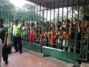 Ke Istiqlal, Warga Berharap Daging Kurban hingga Lihat Sapi Jokowi