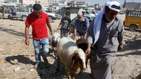 Aktivitas membeli hewan kurban juga terpantau ramai di Nablus, Tepi Barat. Foto: REUTERS/Abed Omar Qusini