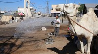 Selain domba dan sapi, seekor unta di Douma dijual untuk dikurbankan. Foto: REUTERS/Alaa al-Faqir