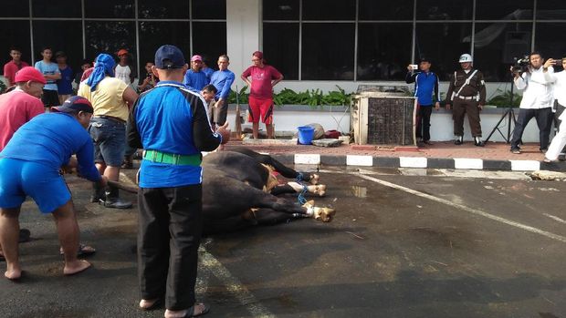 Idul Adha, Kejagung Bagikan Daging Kurban ke 2.206 Orang