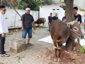 Tahun Ini Eko Patrio Kurban 4 Sapi dan Habiskan Waktu dengan Keluarga