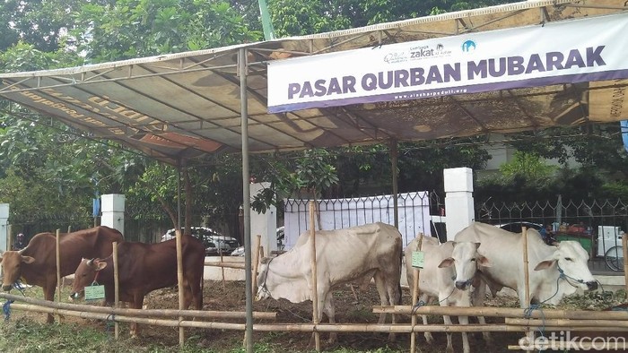 Masjid Al-Azhar Bagikan Daging Kurban ke 2.000 Warga