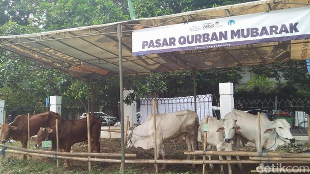 Masjid Al Azhar Bagikan Daging Kurban ke 2.000 Warga 