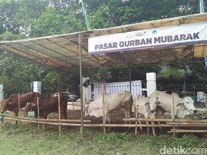 Masjid Al-Azhar Bagikan Daging Kurban ke 2.000 Warga