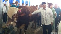 Satu ekor sapi tersebut diqurbankan atas nama Agus DW Martowardojo, Berliantin S Martowardojo, Adri Prasetyo Martowardojo dan Aswin Dwianto Martowardojo.