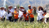 Menteri BUMN Rini Soemarno bersama para petani menunjukkan hasil panen bawang putih. (BNI).