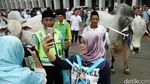 Ini Penampakan Sapi Kurban Jokowi dan JK di Istiqlal