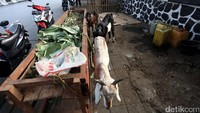 Para pedangang tetap berjualan meski Pemprov DKI melarang berjualan di atas trotoar.