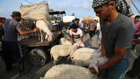 Hewan kurban seperti kambing, domba dan sapi dipamerkan di pasar ternak di Gaza City. Foto: REUTERS/Ibraheem Abu Mustafa