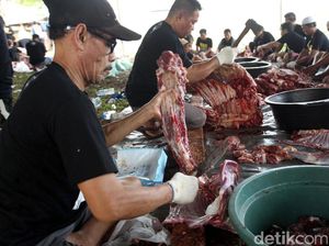 Pemprov DKI Larang Pemotongan Kurban Dekat Venue Asian Games