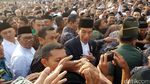 Pose Jokowi Bareng Sapi Kurban 1,2 Ton
