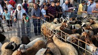 Warga Palestina beramai-ramai mendatangi tempat pembelian hewan kurban di Gaza City. Foto: REUTERS/Ibraheem Abu Mustafa