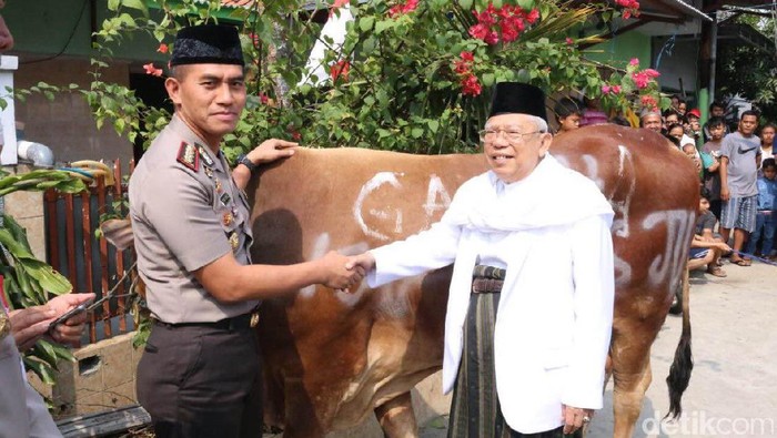 Polres Jakut Serahkan Hewan Kurban ke Ketua MUI