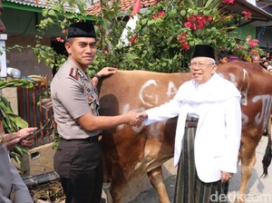 Polres Jakut Serahkan Hewan Kurban ke Ketua MUI