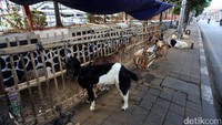 Di trotoar tersebut pedagang membangun kandang dengan beratapkan terpal.