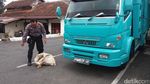 Foto: Yang Viral Minggu Ini, Sudah Update Belum?