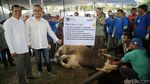 Bank Mandiri Kurban 284 Sapi dan 471 Kambing