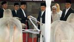 Ini Penampakan Sapi Kurban Jokowi dan JK di Istiqlal