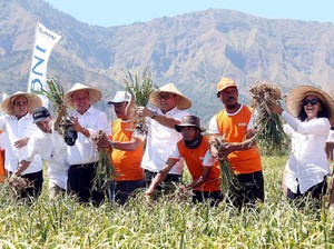 BNI Kucurkan KUR ke Petani Bawang Putih di Lombok