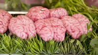 Kandungan DHA dan B12 dalam otak sapi merupakan manfaat yang ditawarkan ketika mengonsumsinya. Ukuran saji otak sapi per 113 gram sama dengan 162 kkal, 12 gram lemak  dan 12 gram protein. Foto: Thinkstock
