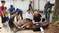 Idul Adha juga dimanfaatkan Eko untuk berkumpul dengan keluarga.  Foto: Palevi/detikHOT