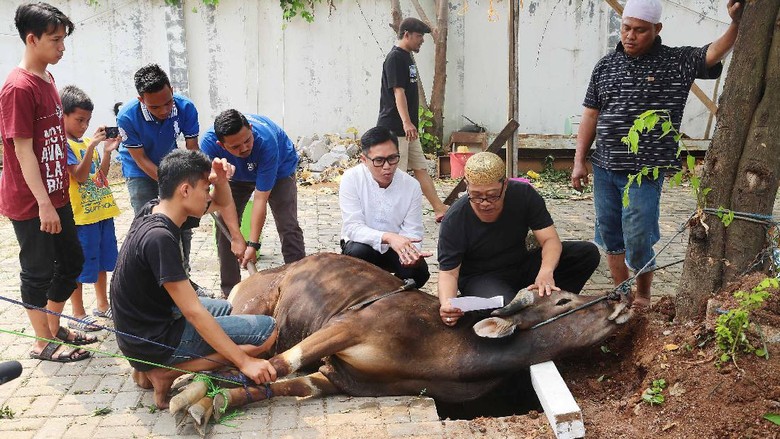 Banyak Berkurban, Eko Patrio Bantah untuk Gaya-gayaan Banyak Berkurban, Eko Patrio Bantah untuk Gaya-gayaan