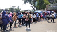 Sejak pagi penggemar Music Bank sudah mendatangi JIExpo Kemayoran, Jakarta.  Foto: Azhry Puspa/ detikHOT