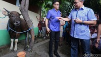 DPW PAN DKI Jakarta menyelenggarakan kurban keliling Idul Adha di beberapa wilayah DKI Jakarta terutama daerah padat penduduk.