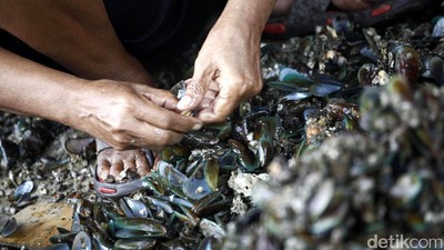 Reklamasi Pulau G Berlanjut, Nelayan Cemas Lagi