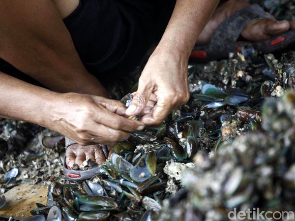 Reklamasi Pulau G Berlanjut, Nelayan Cemas Lagi