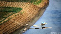 Bahkan bahu sungai tersebut tanahnya mengering, retak dan dijadikan lahan pertanian oleh warga.
