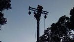 Foto: Perjuangan Terangi Pelosok Kalsel, Tembus Hutan dan Jalan Berlumpur