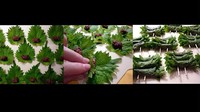 Pada menu Shiso Maki, walnut dan miso dicampur dengan biji wijen panggang. Kemudian dibungkus dengan daun shiso dan ditusuk seperti sate. Lalu dioleskan sedikit minyak wijen.