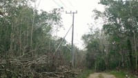 Hutan menuju Desa Sialing yang sudah terpasang jaringan listrik. (Dok. PLN Kalselteng)