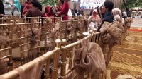 Kursi hadirin saat akad dilapisi warna emas (Foto: Nur Indah Fatmawati/detikcom)