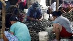 Reklamasi Pulau G Berlanjut, Nelayan Cemas Lagi
