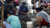 Dengan adanya pulau reklmasi, biota laut terancam lari lebih jauh sehingga membuat nelayan akan semakin susah mencari ikan.