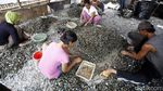 Reklamasi Pulau G Berlanjut, Nelayan Cemas Lagi