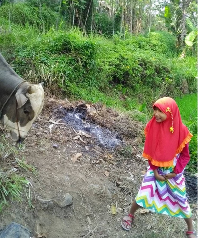 Foto: Lucu! Ekspresi Anak Saat Foto Sama Hewan Kurban