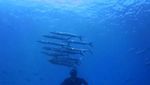 Foto: Gaya Traveling Hamish Daud